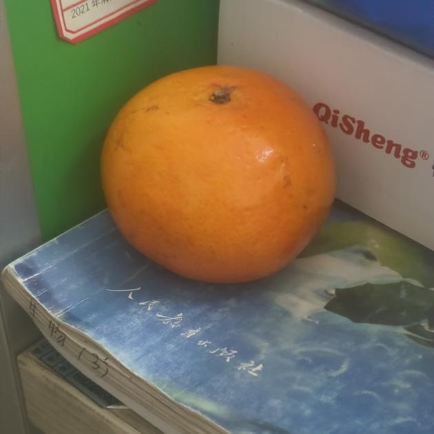 image7.jpeg